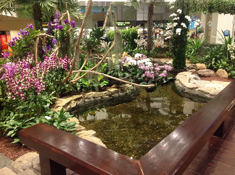 aeroporto cingapura changi interior flores