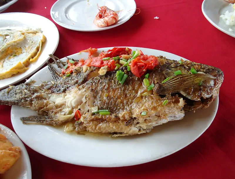 almoço ast travel halong bay