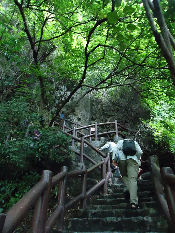 halong bay escadas caverna