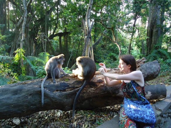 ataque macacos em bali ubud
