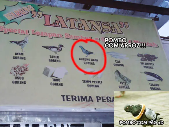 indonesia-pombo-comida