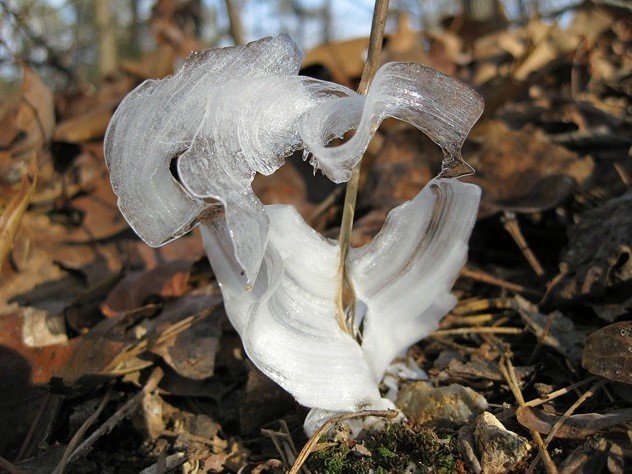 15 20 fenômenos espetaculares da natureza que você não vai acreditar que existem frost