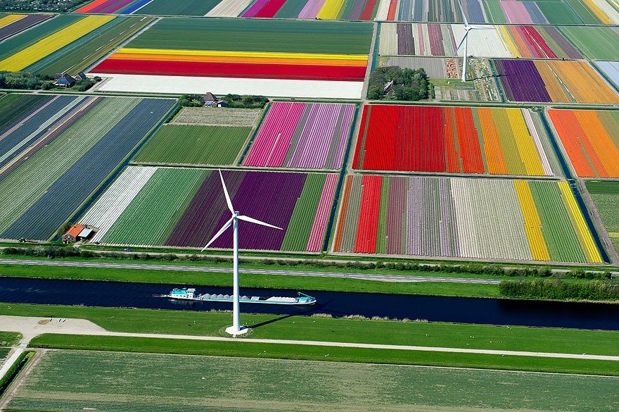 campos-de-tulipa-fotografia-aerea