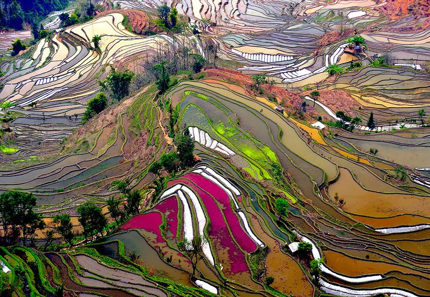 china-campos-de-arroz-fotografia-aerea