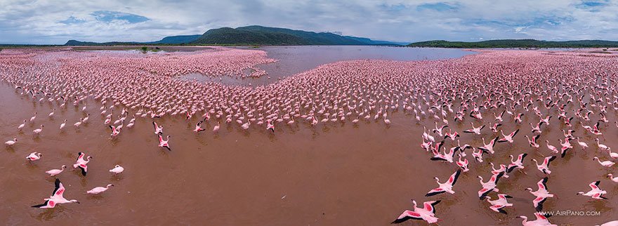 lugares incríveis quenia-flamingo-bay-fotografia-aerea