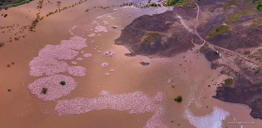 quenia-flamingo-bay-fotografia-aerea2