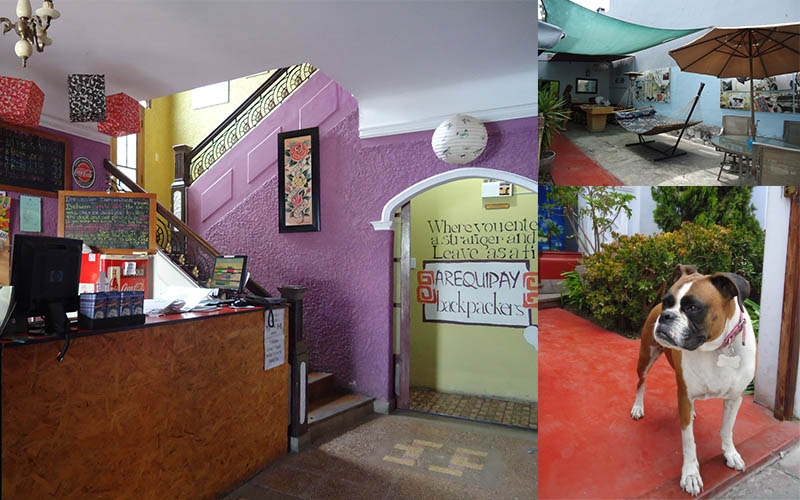 4 hostels no peru arequipay backpackers