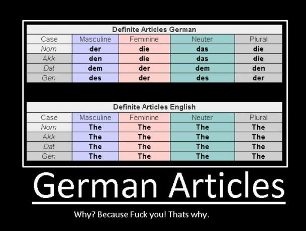 german-articles-because-fuck-you-thats-why