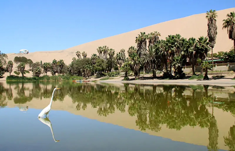 oasis de huacachina no peru como chegar