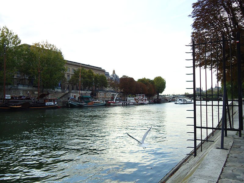 Paris graça passeios rio sena