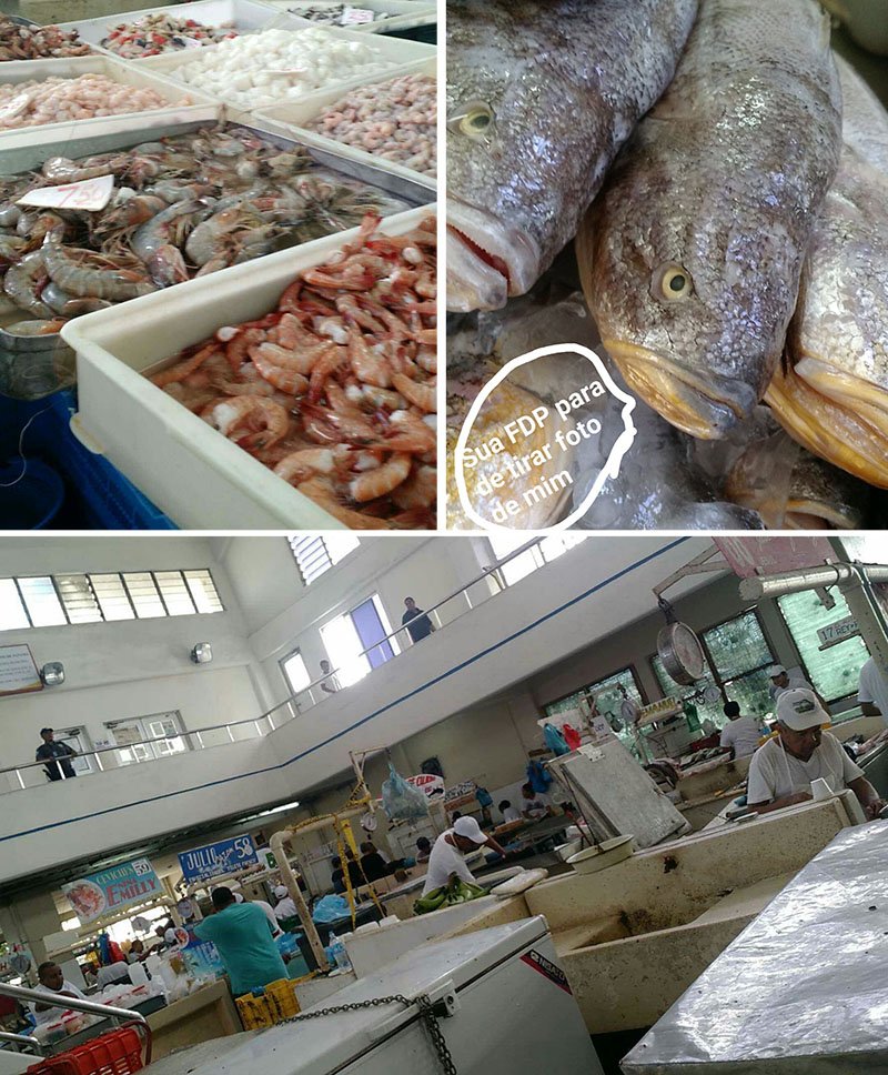 mercado de peixes panama