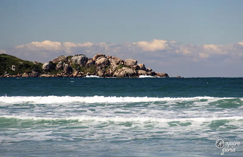 ilha do campeche florianopolis
