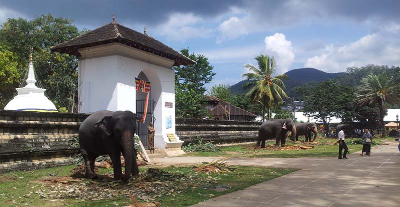 kandy-temple-india