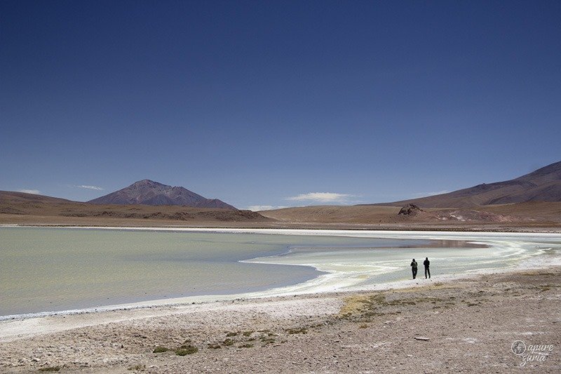 laguna hedionda verde uyuni bolivia