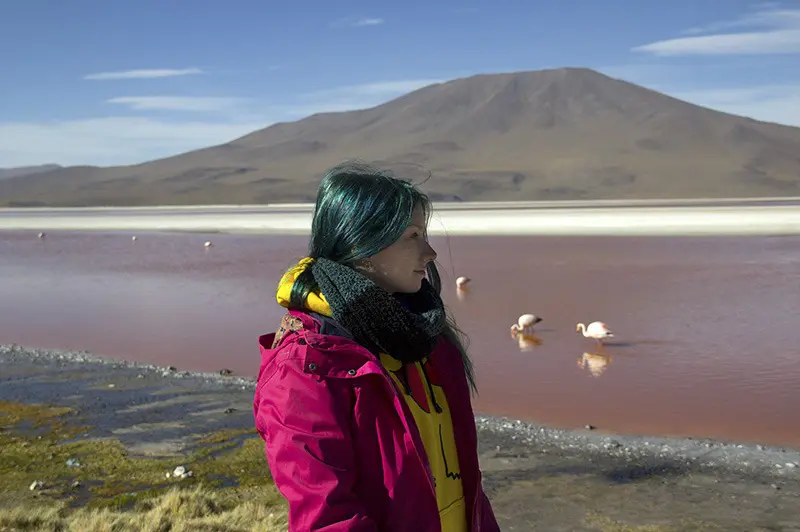 salar de uyuni laguna colorada flamingos