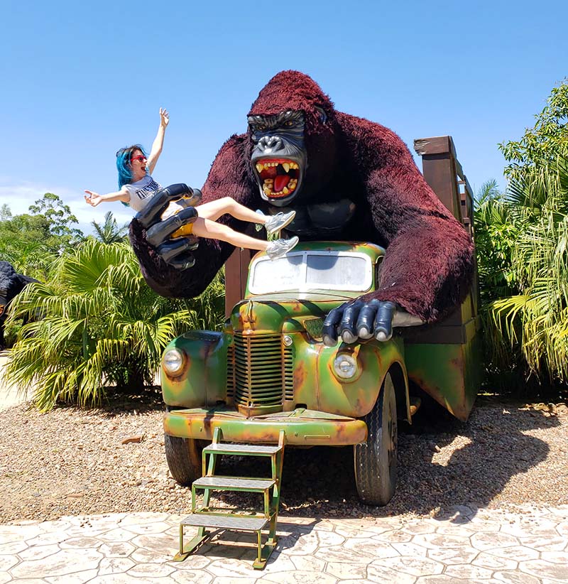 Diversão para todas as alturas! - Destino Beto Carrero World