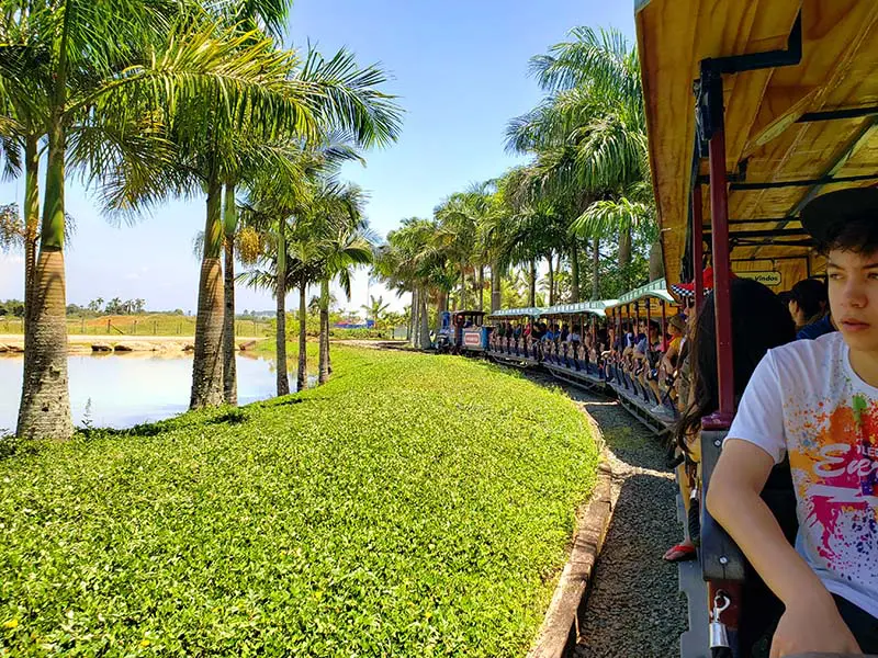 Dicas do Beto Carrero World: onde fica e melhores atrações - Apure Guria