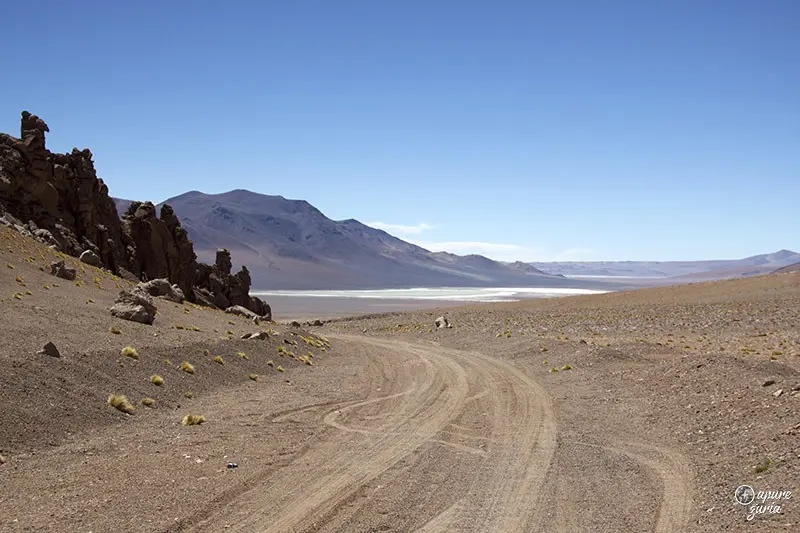 catedrais salar de tara tour atacama
