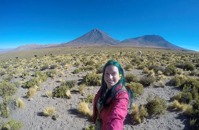 chile vulcao licancabur lhamas estrada