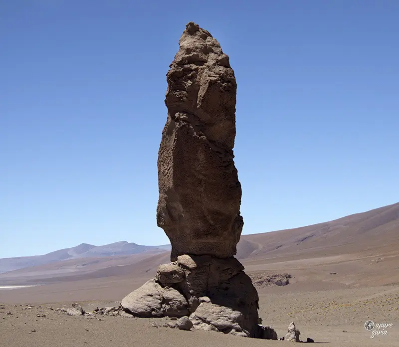 pica del indio salar de tara atacama cara