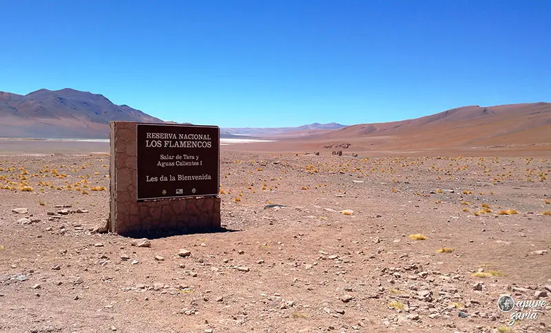 reserva nacional de los flamencos chile