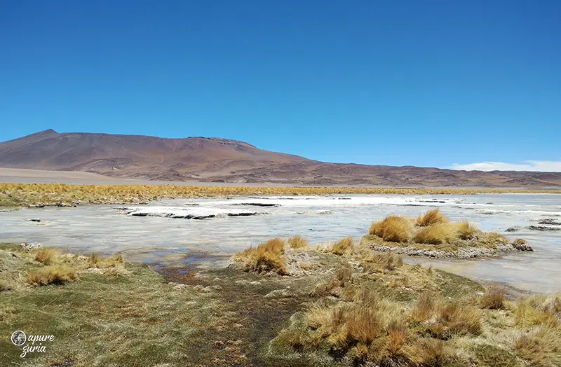 salar de tara no atacama tour