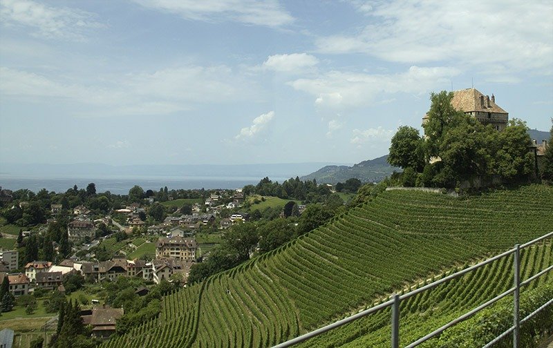 montreux riviera suica vinhedos