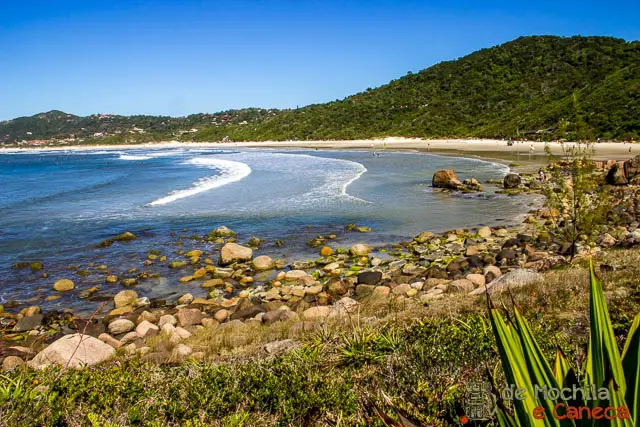 praias lindas de santa catarina praia do rosa