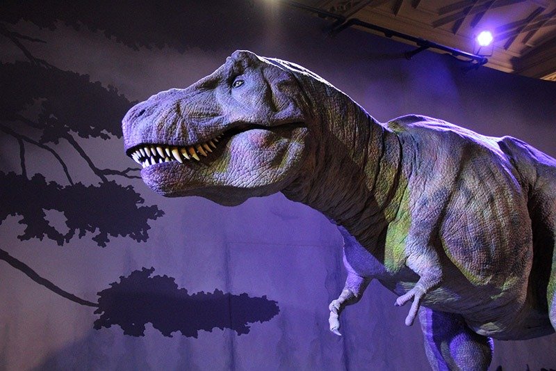 simulacao tiranossauro rex museu em londres viajar com crianca em londres