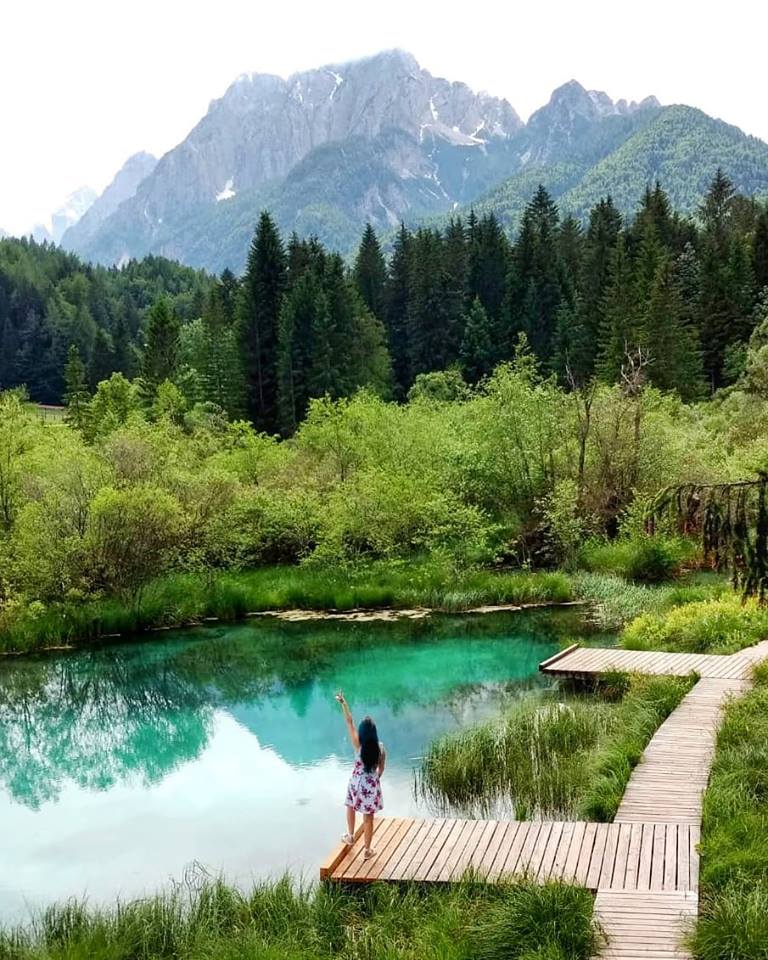 lago zelenci norte da eslovenia turquesa