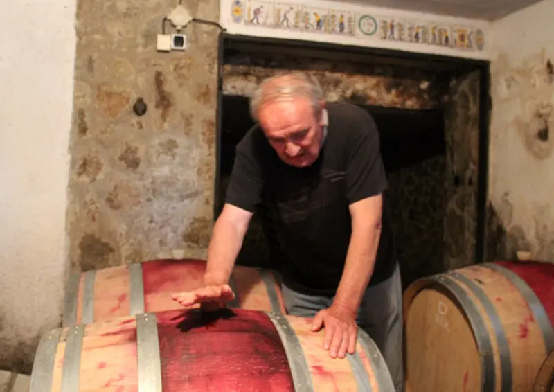 producao de vinho enologo eslovaco