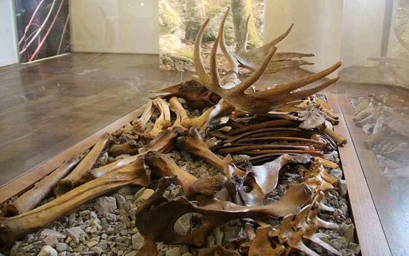 ossos museu castelo de bled dicas eslovenia