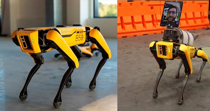 cachorro robo coronavirus Invenções criativas na pandemia