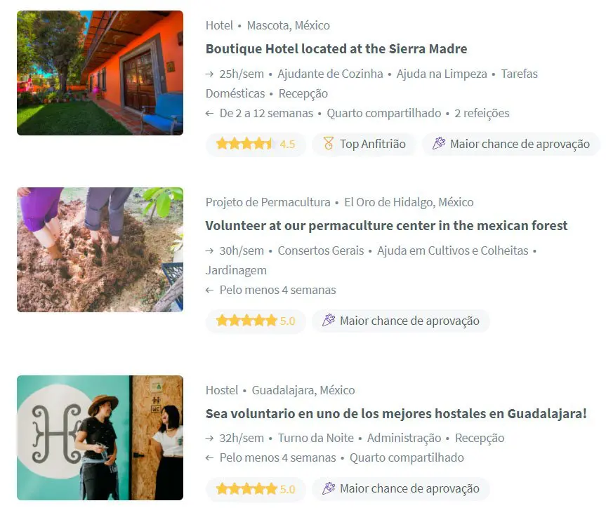 dicas espanhol voluntariado mexico