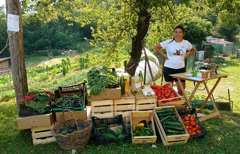 venda de vegetais organicos voluntaria fazenda italia