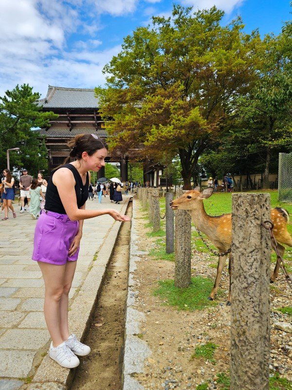 O que fazer em Nara: Aqui é possível alimentar os cervos