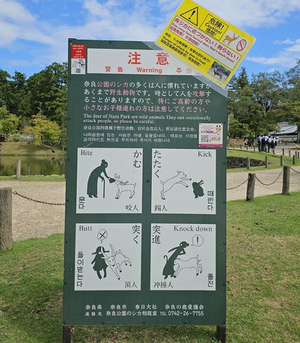 O que fazer em Nara Placa de Aviso de Cuidado com Cervos