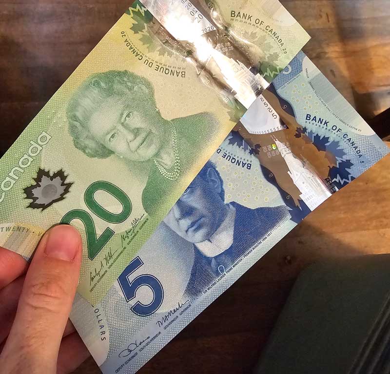 dolar canadense como levar dinheiro canada