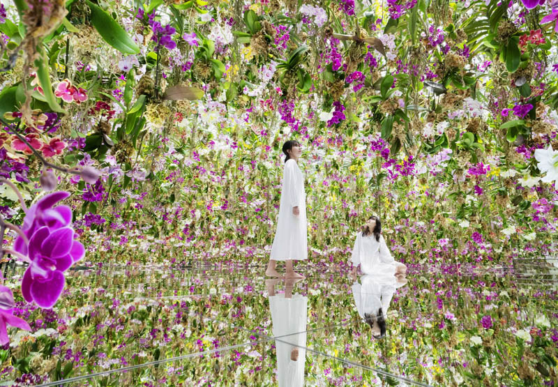 o que fazer em toquio teamlabs