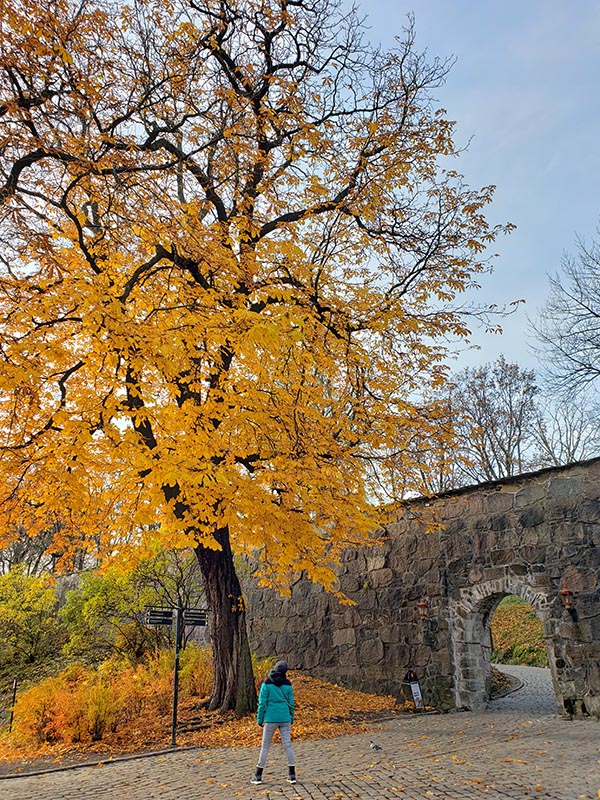 Melhor epoca para visitar a Noruega outono outubro