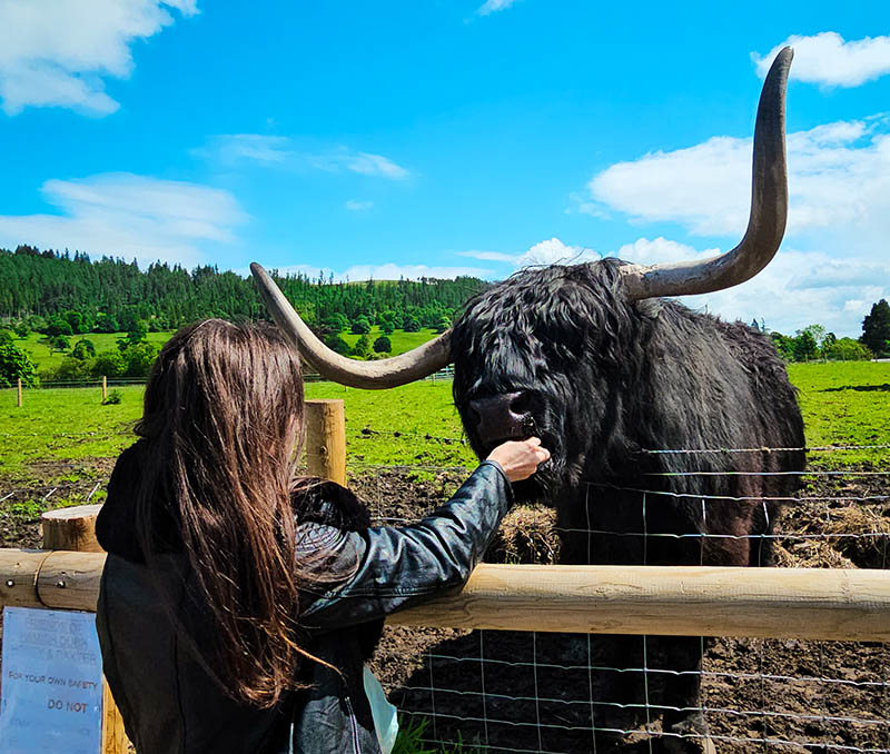 Internet na Escocia qual esim comprar dicas desconto
