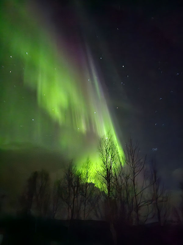 Quanto custa viajar para a Noruega: tours aurora boreal