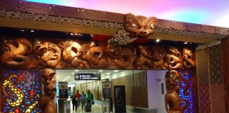 Nova Zelândia: primeiras semanas Auckland