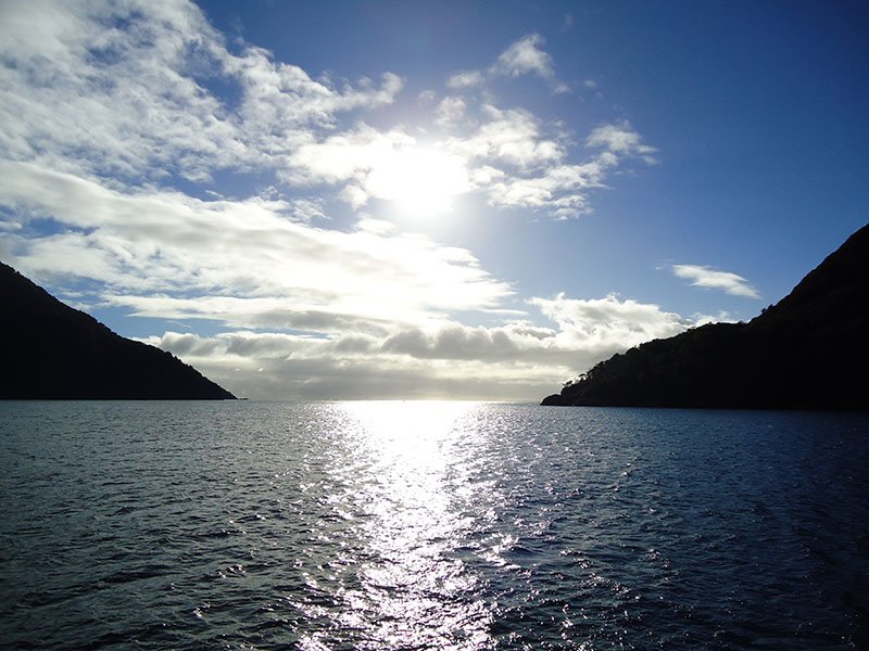 Milford Sound nova zelandia passeio de carro mar da tasmania