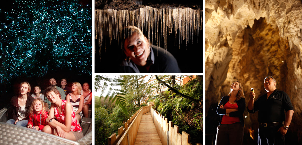 waitomo caves cavernas