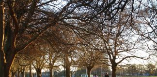 Roteiro em Christchurch na Nova Zelândia hagley park em christchurch nova zelandia
