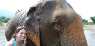 Roteiro na Tailândia: 14 dias incríveis! paque dos elefantes chiang mai tailandia turista