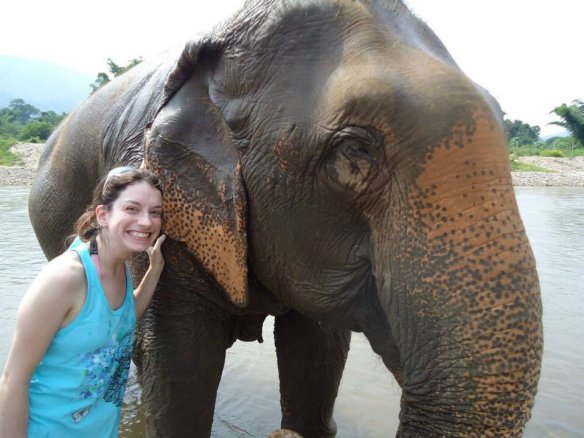 paque dos elefantes chiang mai tailandia turista