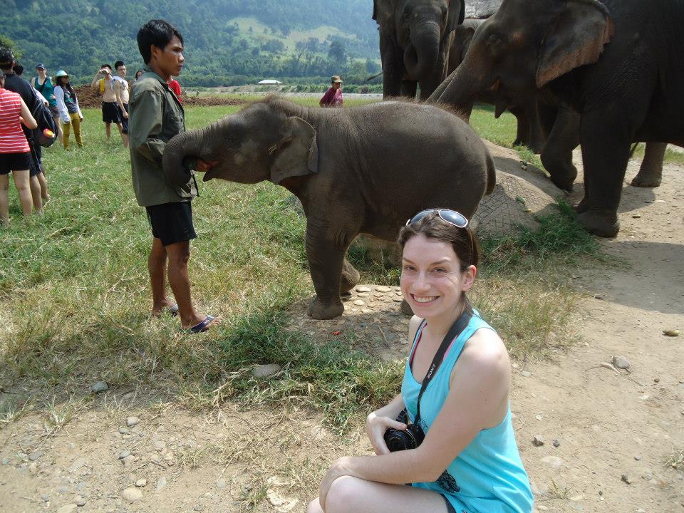 parque elefante tailandia chiang mai (2)