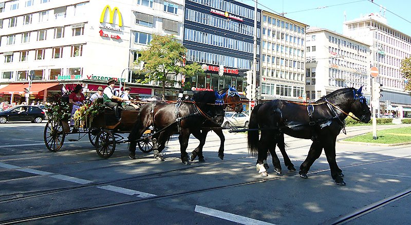 Tudo o que você precisa saber sobre a Oktoberfest desfile cavalos